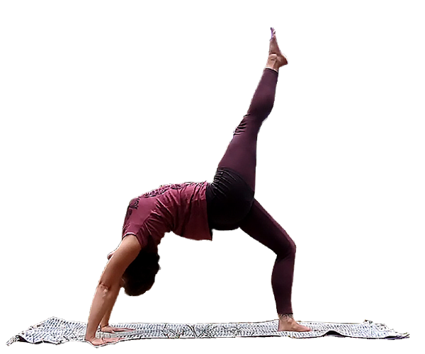 Chakrasana - das Yoga Rad
